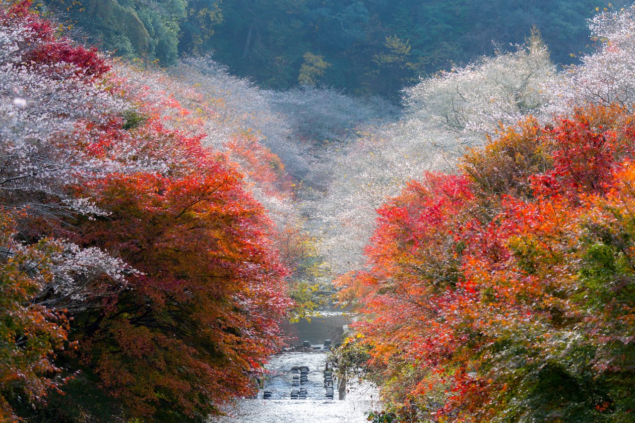 ⛩️ 마가타 신사 (麻賀多神社) 이미지 9